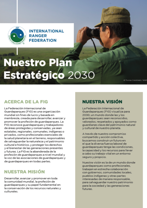 IRF 2030 Strategic Plan (Espanol)